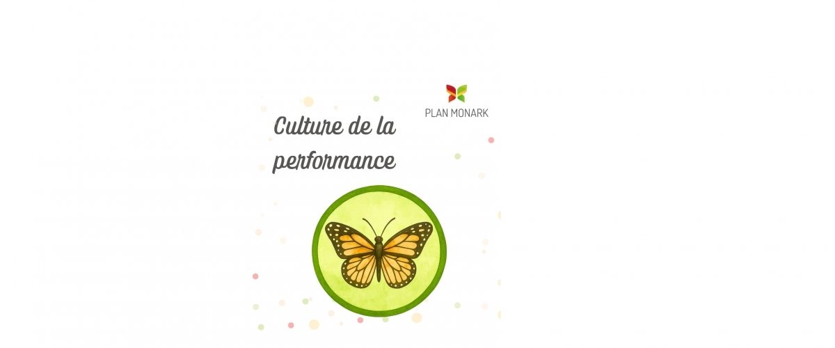 WEB PM Culture de la performance