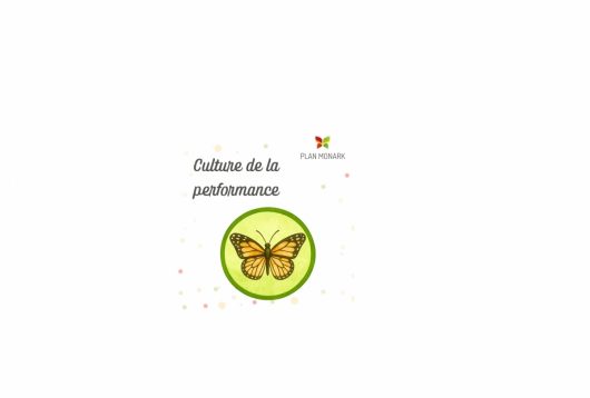 WEB PM Culture de la performance